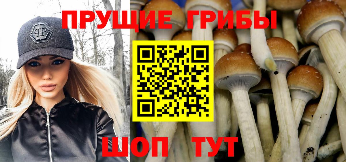 Дивногорск  Псилоцибиновые грибы ЛСД  Вход с VPN 