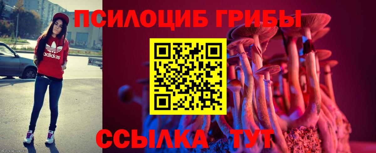 Псилоцибиновые грибы мухоморы Дивногорск