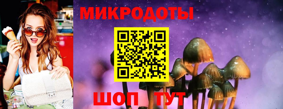 Псилоцибиновые грибы GOLDEN TEACHER Дивногорск
