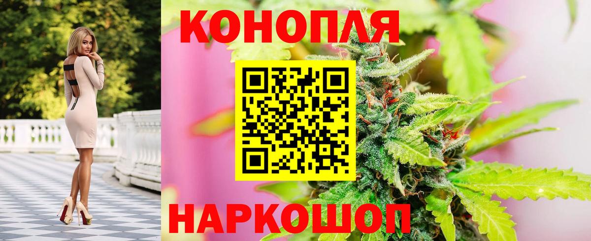 Бошки Шишки конопля Дивногорск